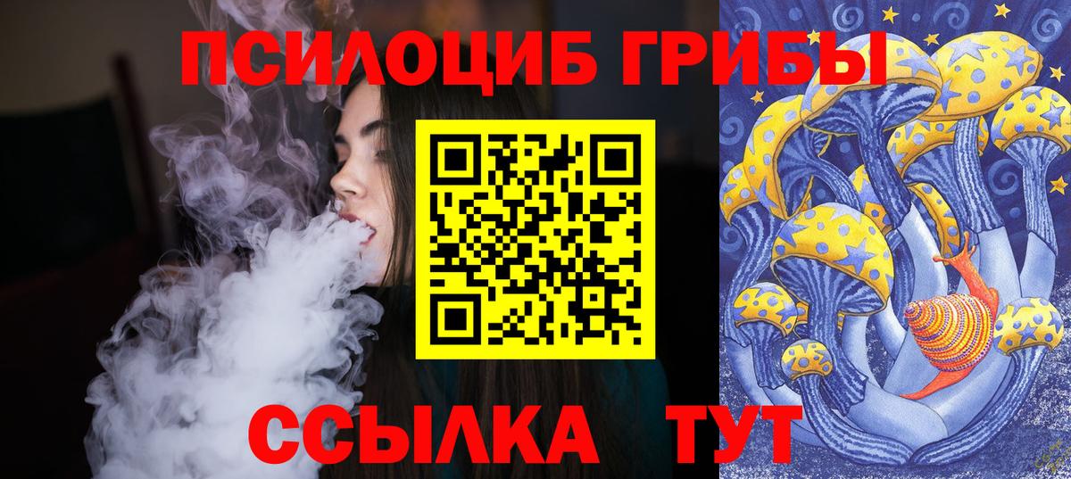 Нурлат  Псилоцибиновые грибы Psilocybine cubensis  Вход с VPN  Псилоцибиновые грибы прущие грибы 