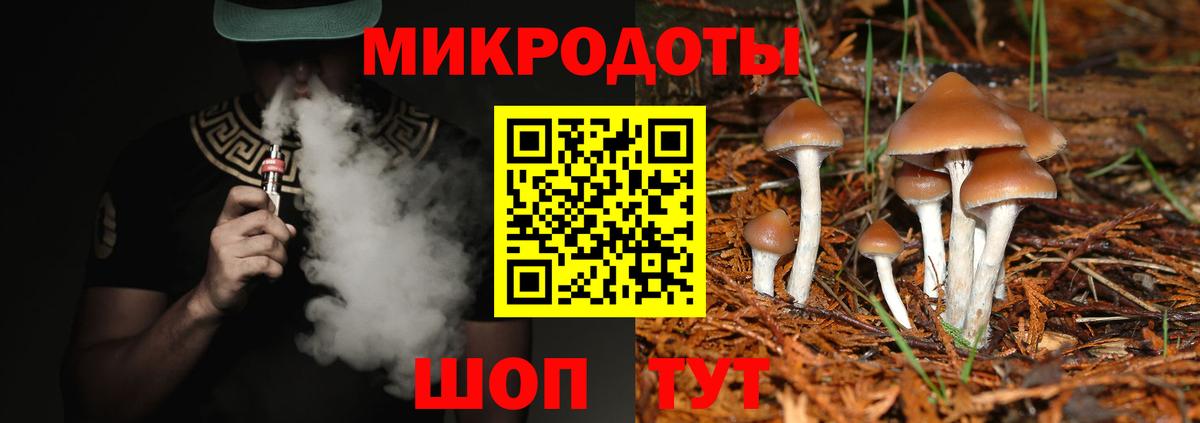Псилоцибиновые грибы Psilocybine cubensis Нурлат
